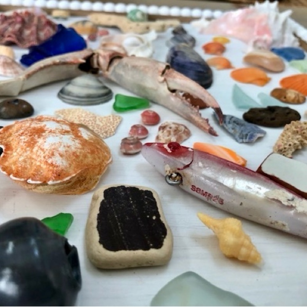 Beautiful Beach Treasures - Picture 7 of 7